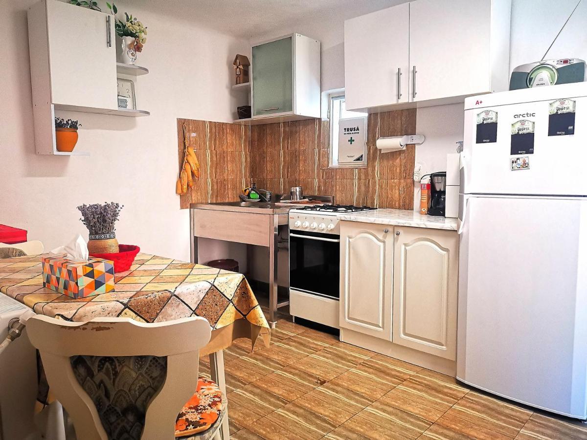 Vila Casa Petrescu Curtea de Argeş Exteriér fotografie